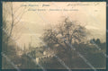 Verbania Lago Maggiore Stresa cartolina JK1985 – fronte