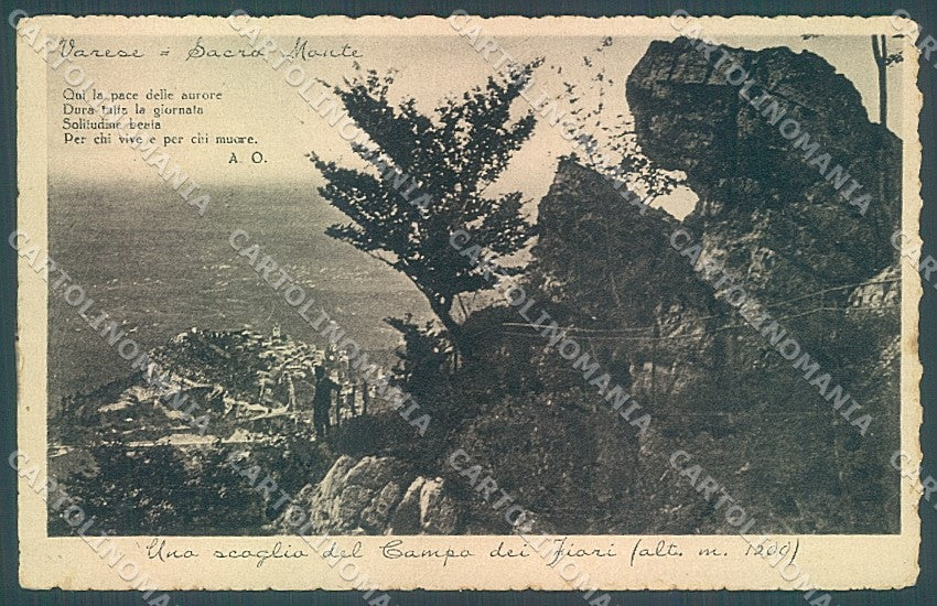 Varese Città Campo dei Fiori cartolina JK2202 – fronte