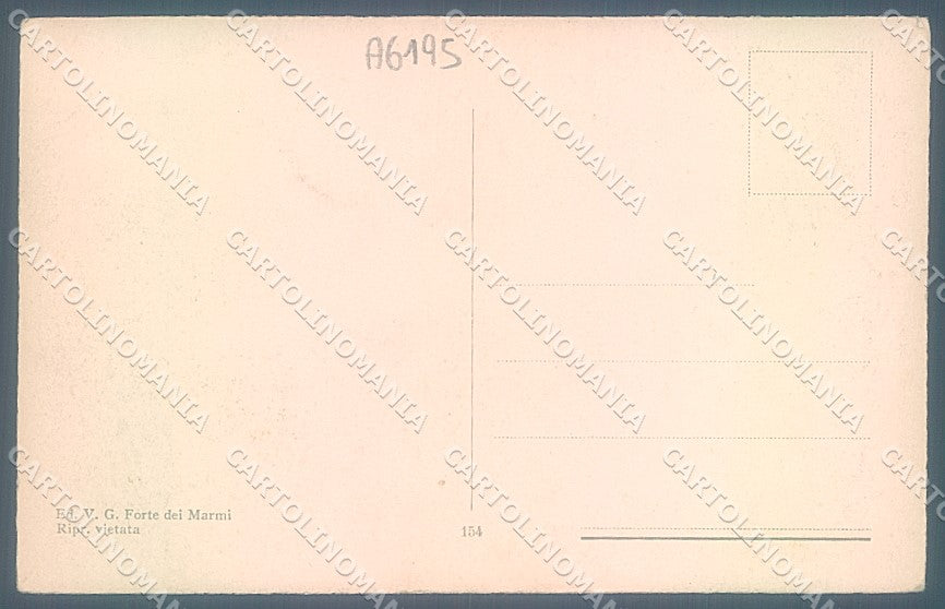 Lucca Forte dei Marmi Alpi Apuane cartolina JK2333 – retro
