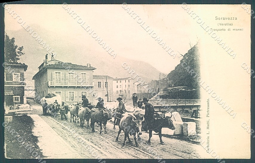 Lucca Seravezza Trasporto Marmi Buoi cartolina JK2346 – fronte
