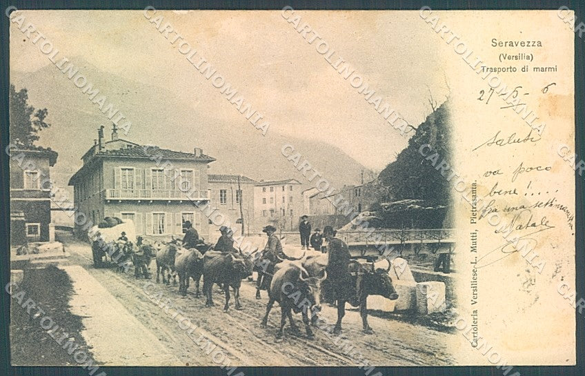 Lucca Seravezza Trasporto Marmi Buoi cartolina JK2371 – fronte
