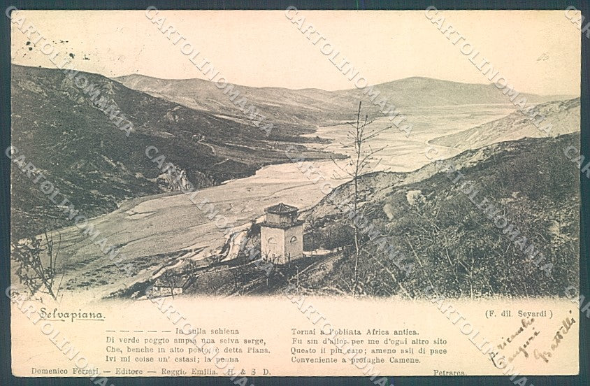 Forlì Selvapiana Petrarca cartolina JK2647 – fronte