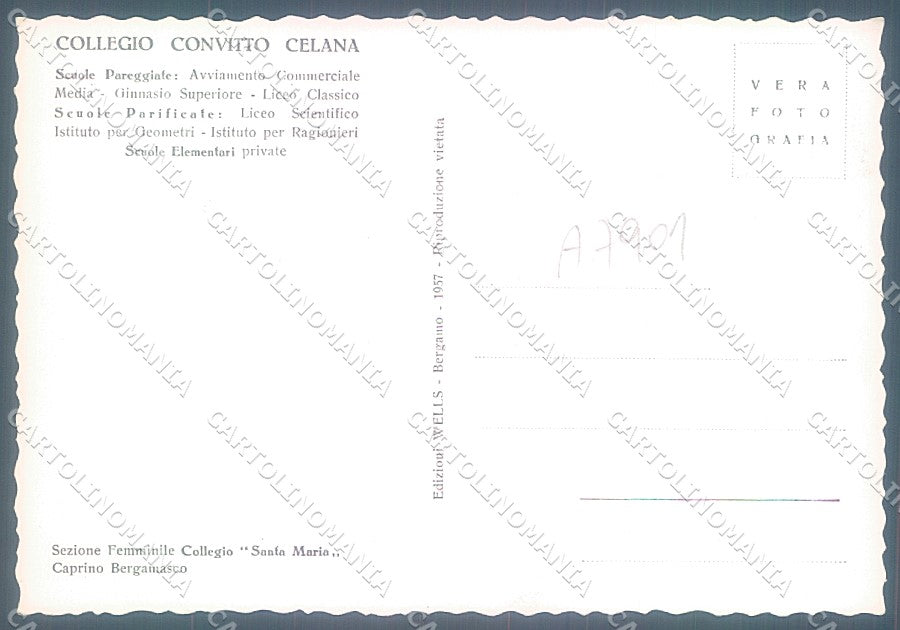 Bergamo Celana Collegio Convitto Foto FG cartolina JK2933 – retro
