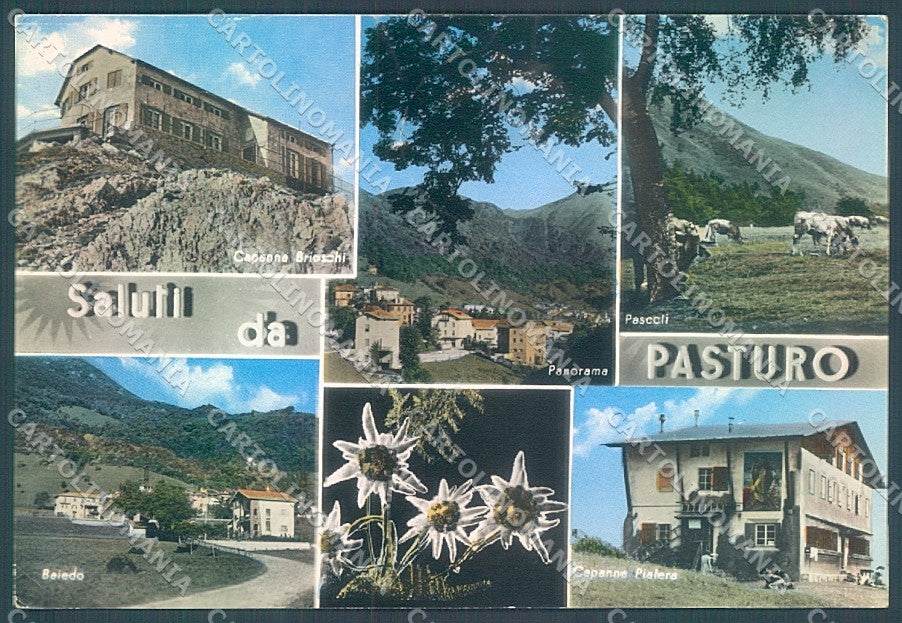 Lecco Pasturo Edelweiss Pascolo saluti da PIEGHINA Foto FG cartolina JK2968 – fronte