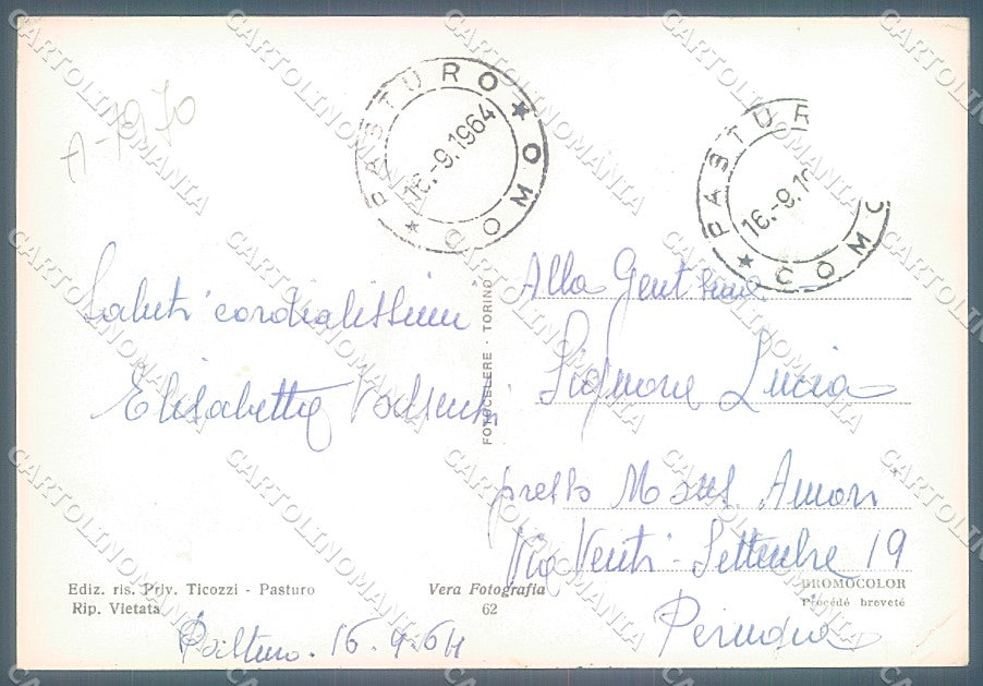 Lecco Pasturo Edelweiss Pascolo saluti da PIEGHINA Foto FG cartolina JK2968 – retro