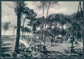 Massa Marina di Massa Campeggio Foto FG cartolina JK3017 – fronte
