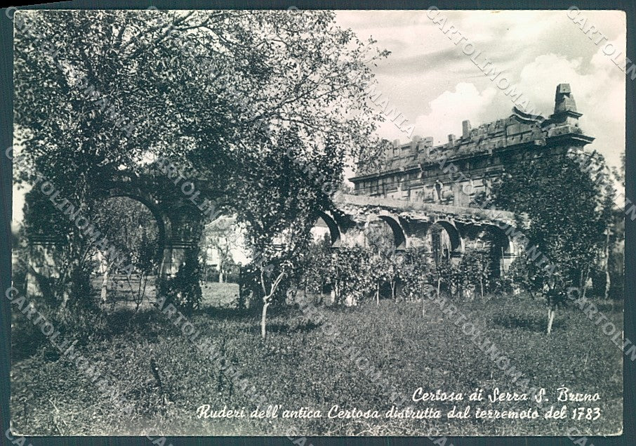 Vibo Valentia Serra San Bruno Foto FG cartolina JK3033 – fronte
