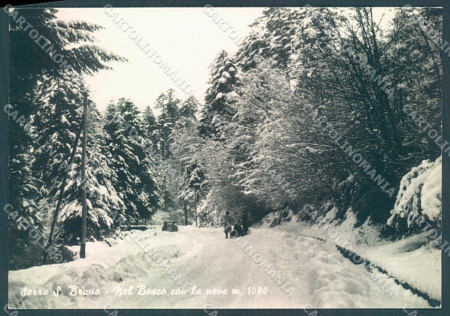 Vibo Valentia Serra San Bruno Foto FG cartolina JK3034 – fronte