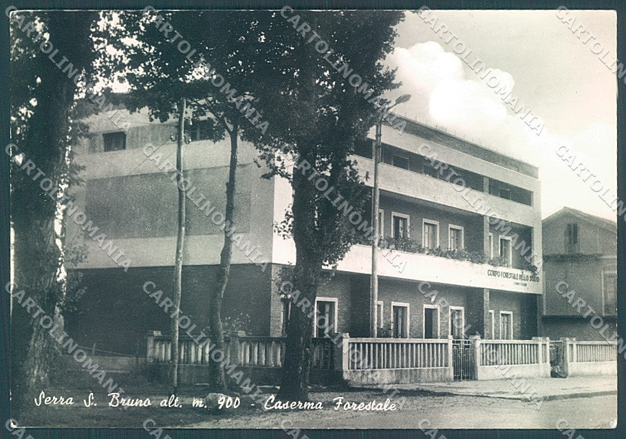 Vibo Valentia Serra San Bruno Caserma Forestale Foto FG cartolina JK3035 – fronte