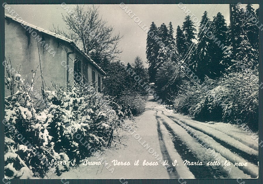 Vibo Valentia Serra San Bruno Foto FG cartolina JK3036 – fronte