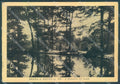 Vibo Valentia Serra San Bruno Bottaccio nel Bosco FG cartolina JK3041 – fronte