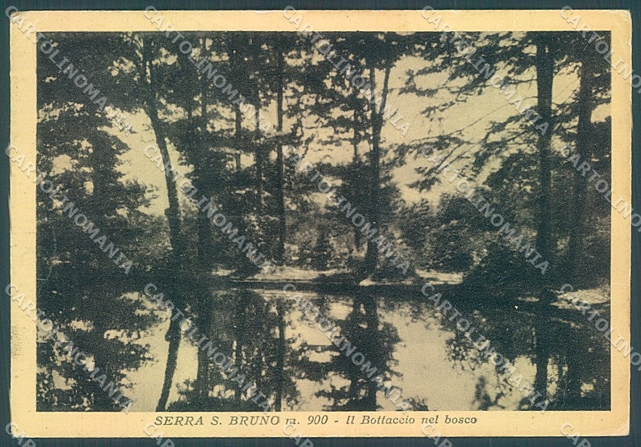 Vibo Valentia Serra San Bruno Bottaccio nel Bosco FG cartolina JK3041 – fronte