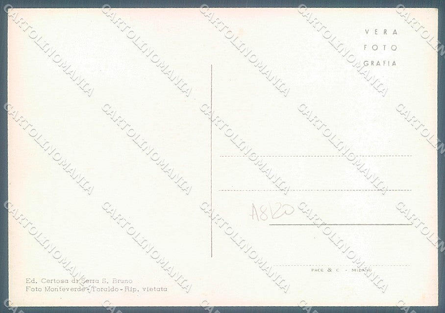 Vibo Valentia Serra San Bruno Certosa Torre Orologio Foto FG cartolina JK3045 – retro