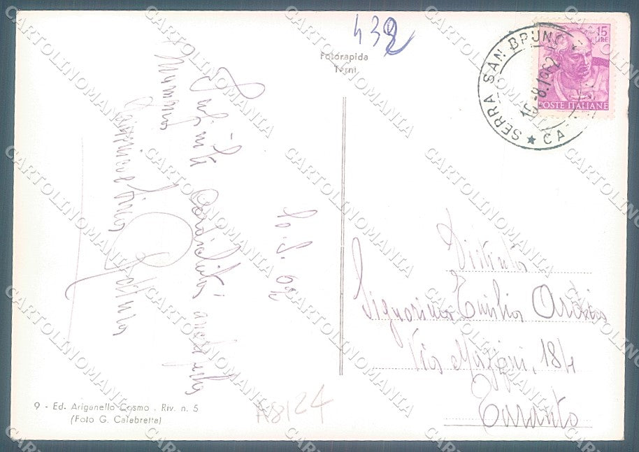Vibo Valentia Serra San Bruno Bosco Foto FG cartolina JK3048 – retro