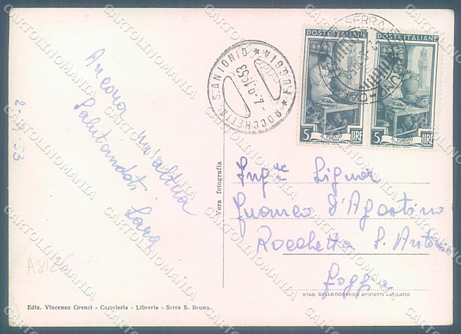 Vibo Valentia Serra San Bruno Bosco Foto FG cartolina JK3049 – retro