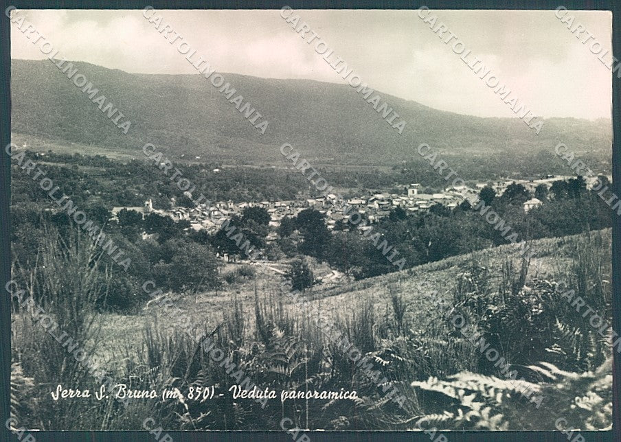 Vibo Valentia Serra San Bruno Foto FG cartolina JK3051 – fronte