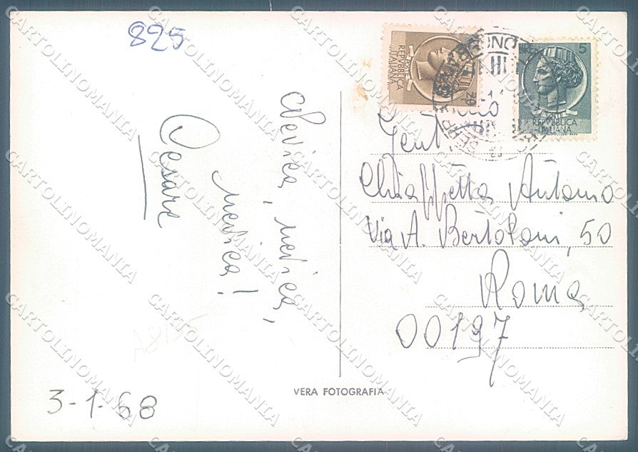Vibo Valentia Serra San Bruno Bosco Neve Foto FG cartolina JK3052 – retro