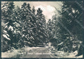 Vibo Valentia Serra San Bruno Bosco Neve Foto FG cartolina JK3053 – fronte