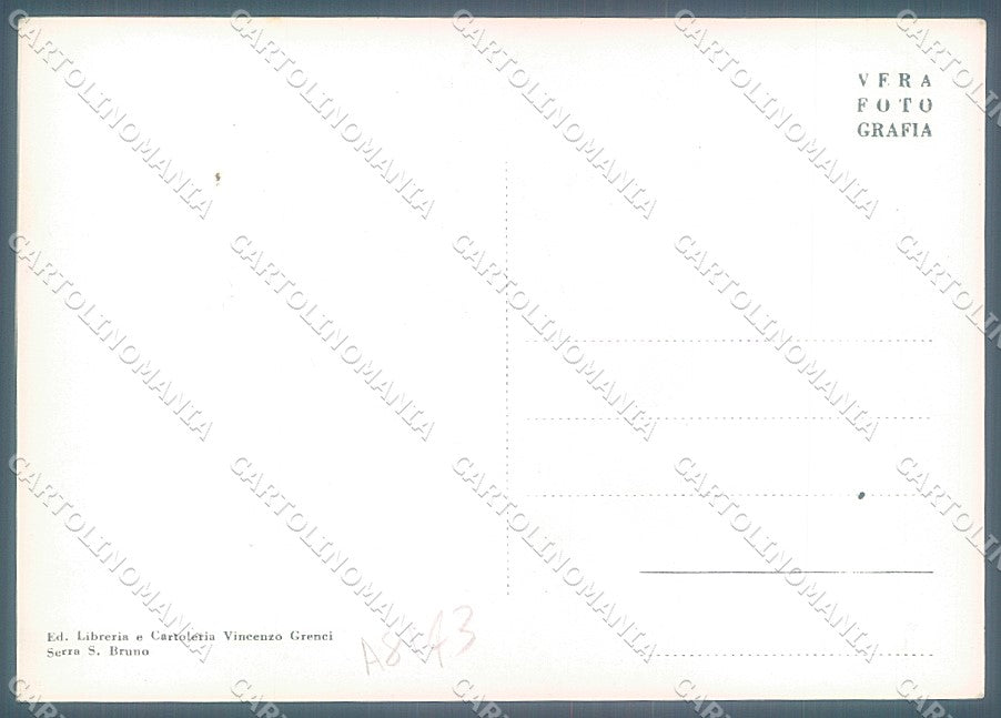 Vibo Valentia Serra San Bruno saluti da Foto FG cartolina JK3055 – retro