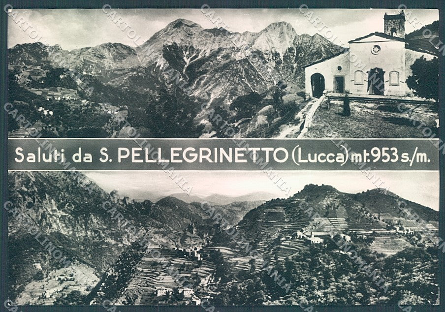 Lucca San Pellegrinetto saluti da Foto FG cartolina JK3081 – fronte