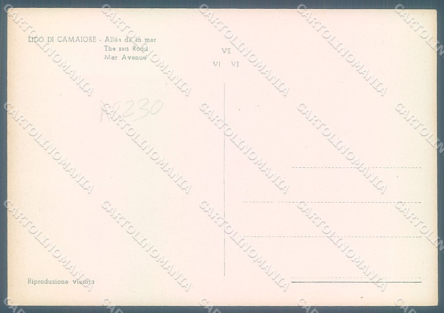 Lucca Lido di Camaiore Viale Lungomare FG cartolina JK3094 – retro