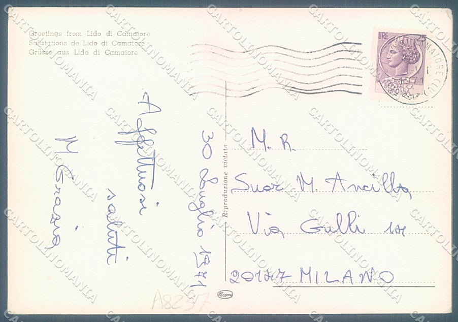 Lucca Lido di Camaiore saluti da Cecami FG cartolina JK3097 – retro