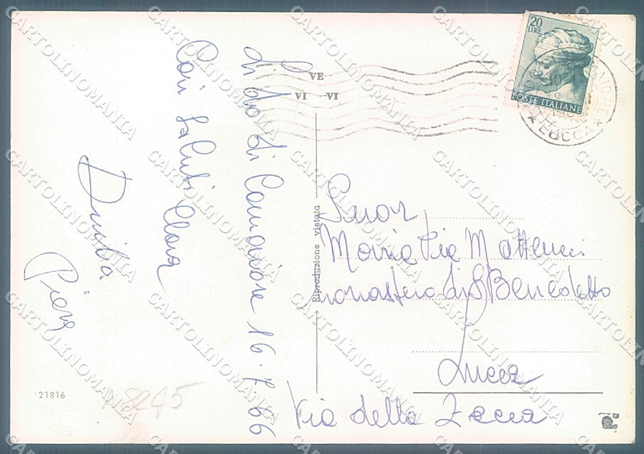 Lucca Lido di Camaiore Foto FG cartolina JK3100 – retro