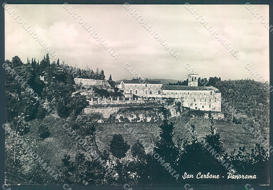 Lucca San Cerbone Foto FG cartolina JK3104 – fronte