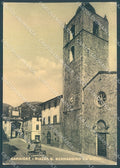 Lucca Camaiore Chiesa Piazza S. Bernardino da Siena FG cartolina JK3107 – fronte