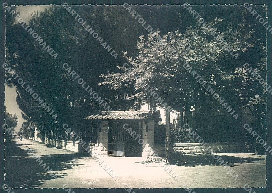 Lucca Forte dei Marmi Pensione La Pineta Foto FG cartolina JK3144 – fronte
