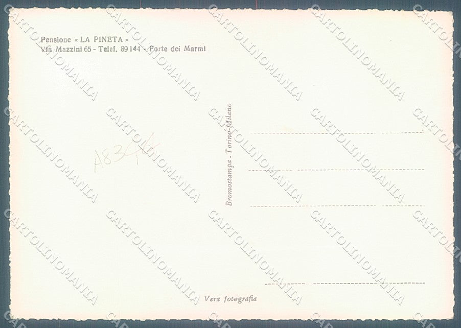 Lucca Forte dei Marmi Pensione La Pineta Foto FG cartolina JK3144 – retro