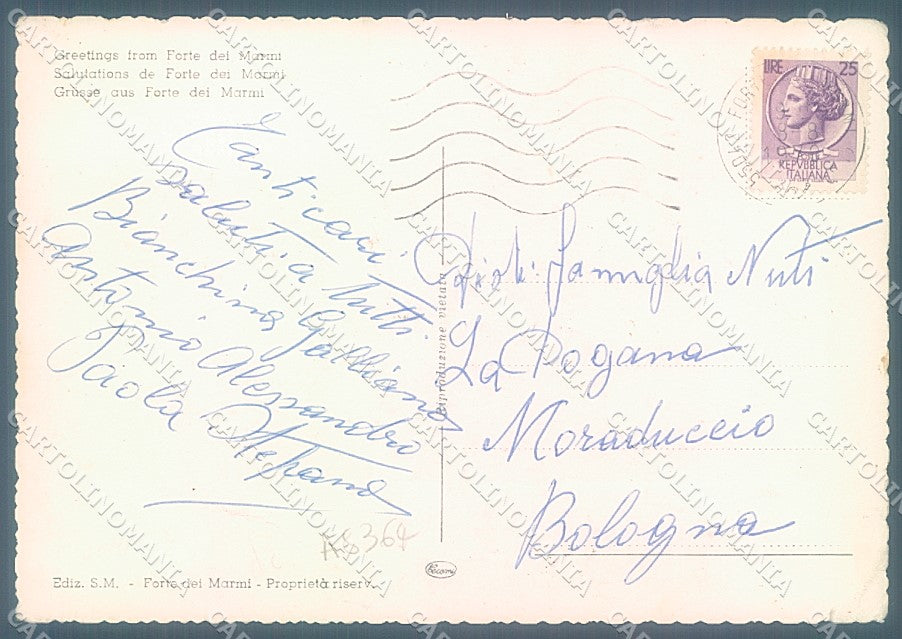 Lucca Forte dei Marmi saluti da PIEGHINE FG cartolina JK3156 – retro