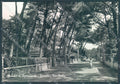 Lucca Marina di Pietrasanta Foto FG cartolina JK3183 – fronte
