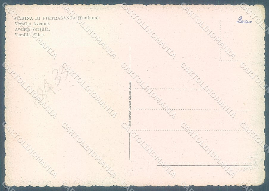 Lucca Marina di Pietrasanta FG cartolina JK3191 – retro