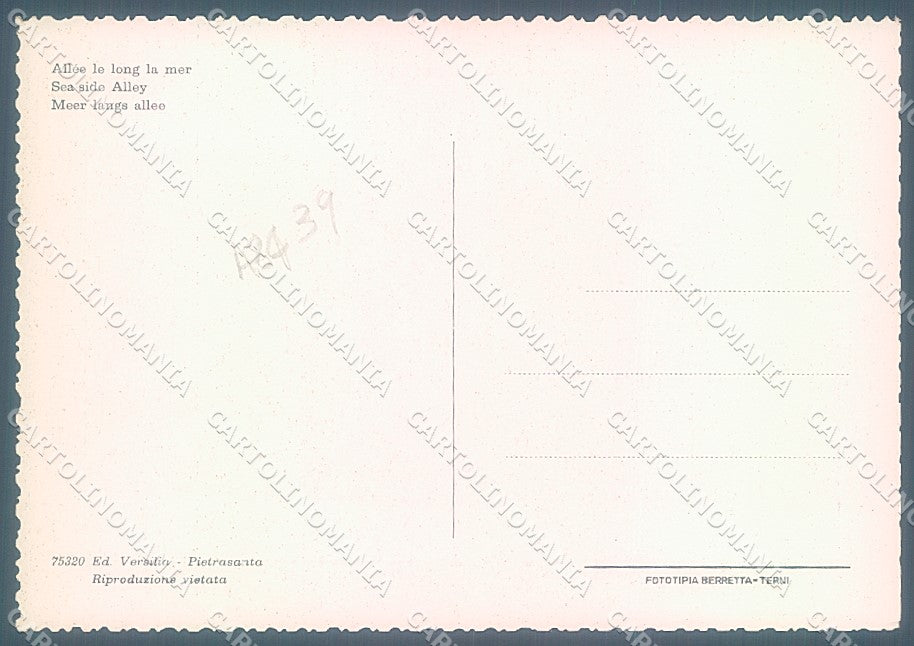 Lucca Marina di Pietrasanta Tonfano Esso FG cartolina JK3196 – retro