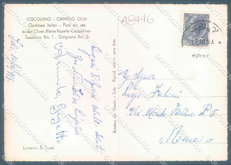 Brescia Toscolano Camping Oliven Foto FG cartolina JK3198 – retro