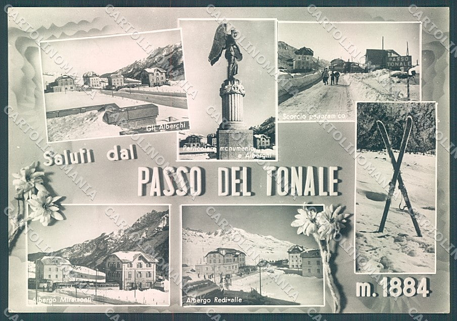 Trento Passo del Tonale saluti da FG cartolina JK3218 – fronte