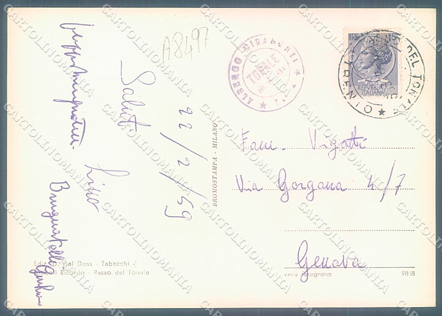 Trento Passo del Tonale saluti da FG cartolina JK3218 – retro