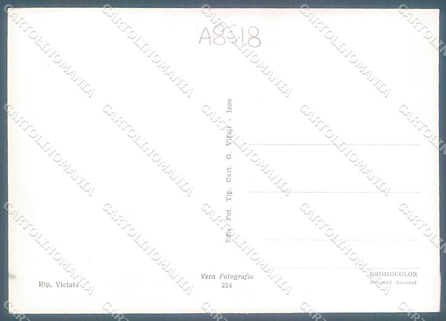 Brescia Lago d'Iseo souvenir da FG cartolina JK3224 – retro