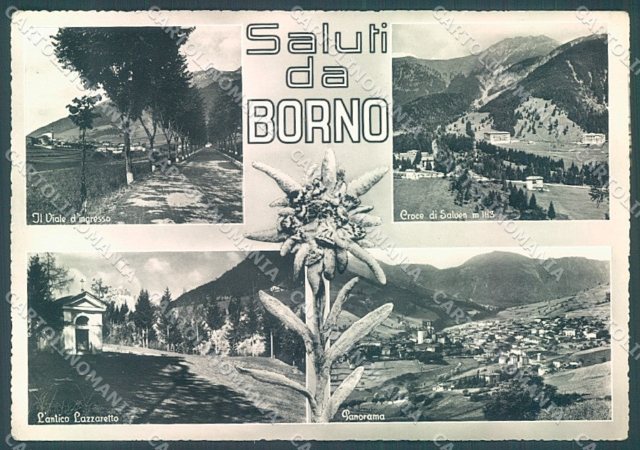 Brescia Borno Edelweiss Lazzaretto saluti da Foto FG cartolina JK3245 – fronte