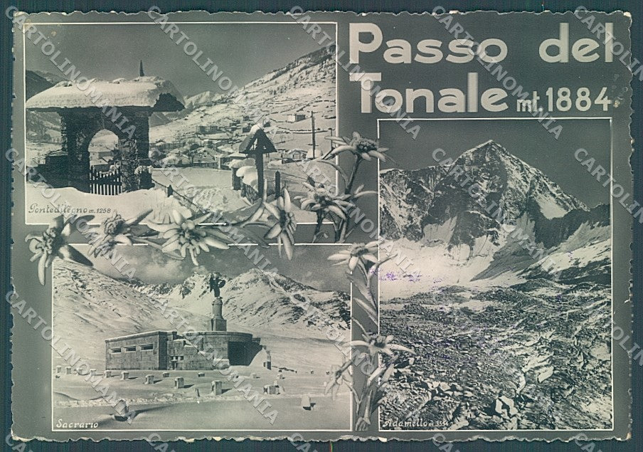 Brescia Passo del Tonale Edelweiss Sacrario PIEGHINE Foto FG cartolina JK3248 – fronte