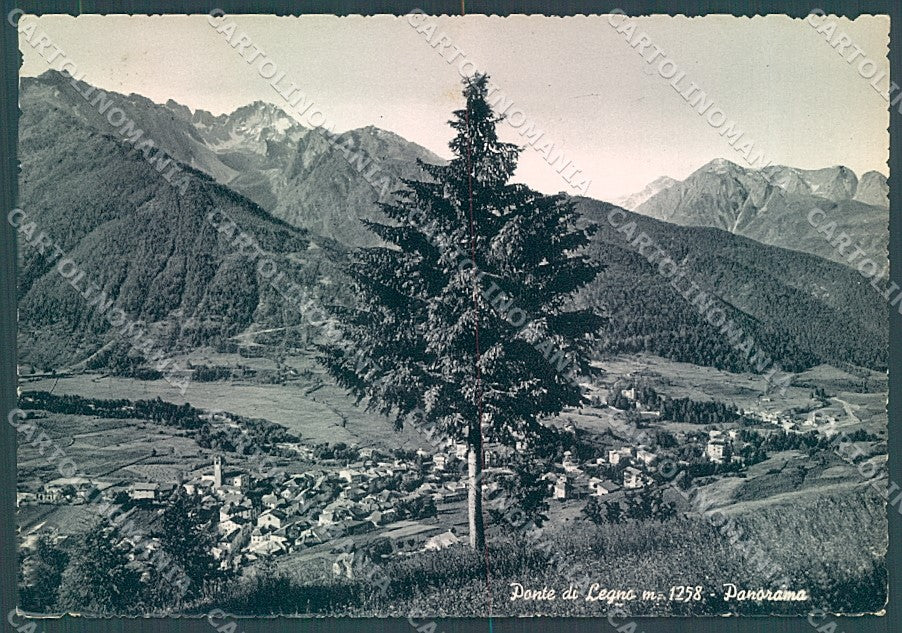 Brescia Ponte di Legno Foto FG cartolina JK3250 – fronte