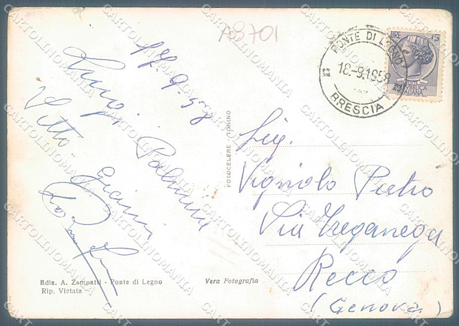 Brescia Ponte di Legno Edelweiss Passo Gavia STRAPPINO Foto FG cartolina JK3298 – retro