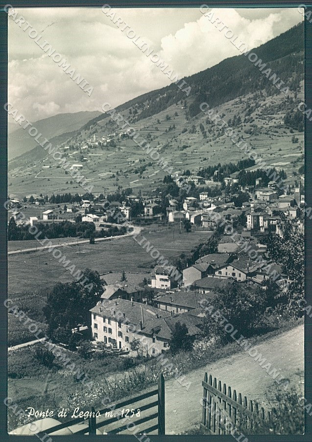 Brescia Ponte di Legno Foto FG cartolina JK3299 – fronte