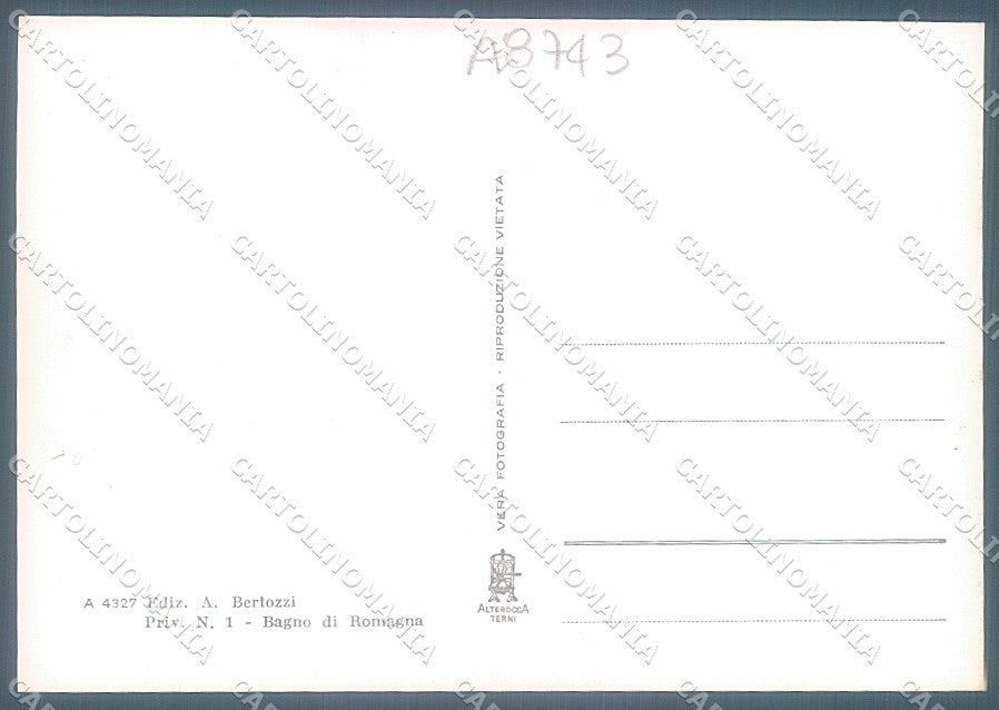 Forlì Passo dei Mandrioli Alterocca 4327 Foto FG cartolina JK3317 – retro