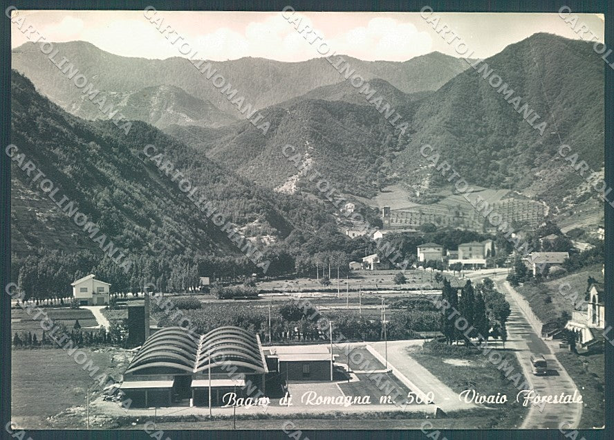 Forlì Bagno di Romagna Vivaio Forestale Foto FG cartolina JK3341 – fronte