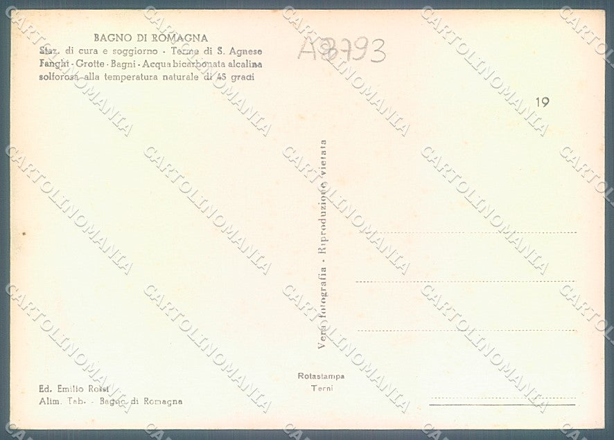 Forlì Bagno di Romagna Vivaio Forestale Foto FG cartolina JK3341 – retro
