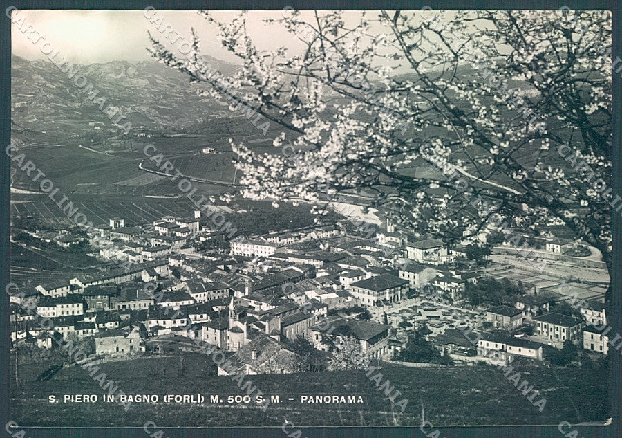 Forlì San Piero in Bagno Foto FG cartolina JK3435 – fronte
