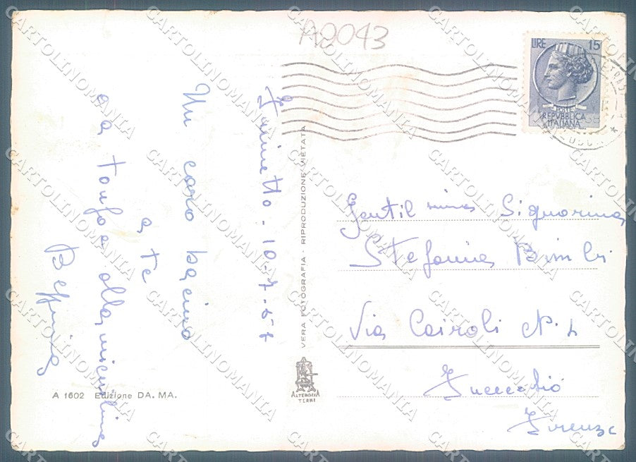 Lucca Pietrasanta Marina saluti da Alterocca 1602 Foto FG cartolina JK3466 – retro