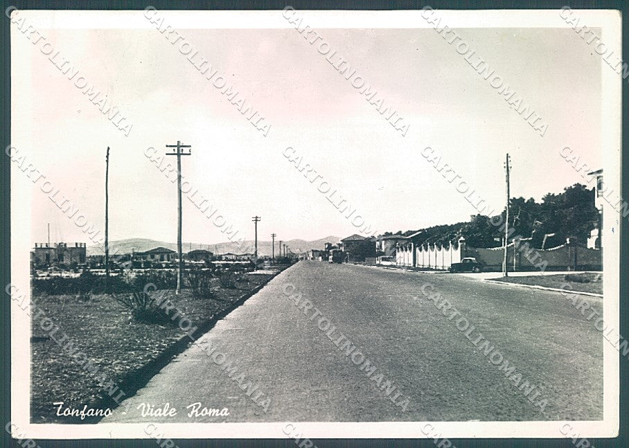 Lucca Pietrasanta Tonfano Viale Roma Foto FG cartolina JK3468 – fronte